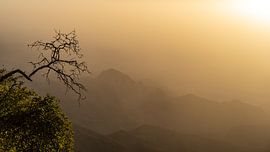 Lonely tree in the mountainb