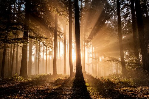 Neuer Tag - Neues Glück