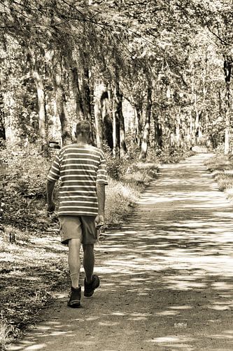 Weinlese Mann geht durch den Wald