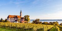 Birnau pilgrimage church on Lake Constance