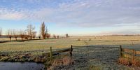 night frost in the polder