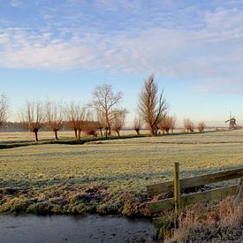 night frost in the polder by Yvonne Blokland