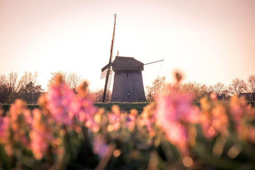 Molen Oudorp by peterheinspictures