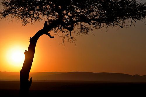 Evening breath / Avond adem