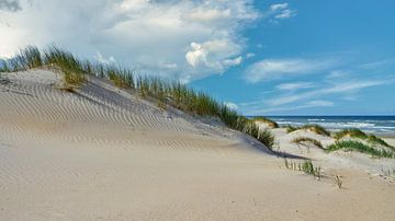 dune beach sea