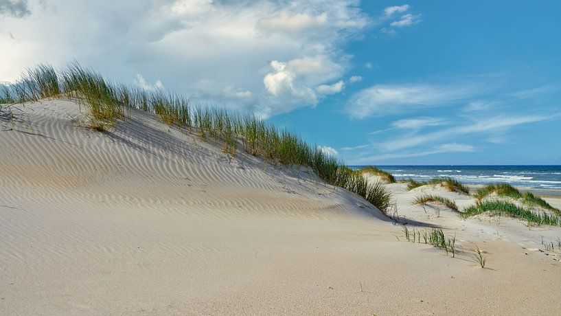 dune beach sea by eric van der eijk