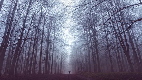 Woman in the fog in the Westerwald