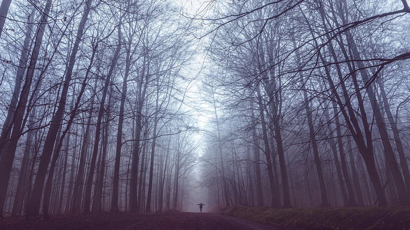 Woman in the fog in the Westerwald by flotografie