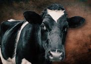 portret van een koe tegen mooie robuuste achtergrond van Bert Hooijer thumbnail