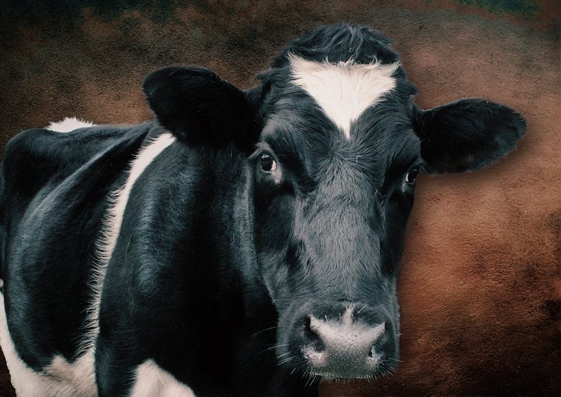 portret van een koe tegen mooie robuuste achtergrond van Bert Hooijer