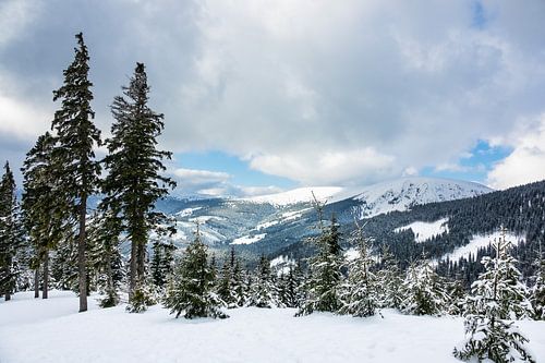 Winter im Riesengebirge bei Pec pod Snezkou, Tschechien