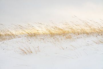 ijslands winterlandschap van Jeannette Kliebisch