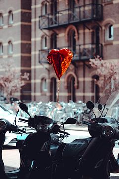 L'amour est dans l'air sur Jelte Lagendijk