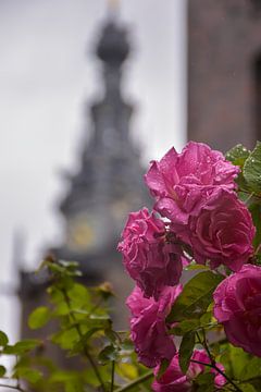 St. Stevenstoren van Femke Straten