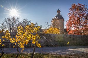 Herbsttag bei Schloss Vollrads van Christian Müringer