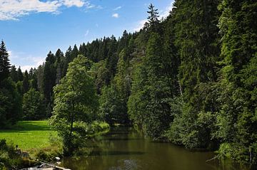 Wutach Gorge in the Black Forest by Dieter Stahl