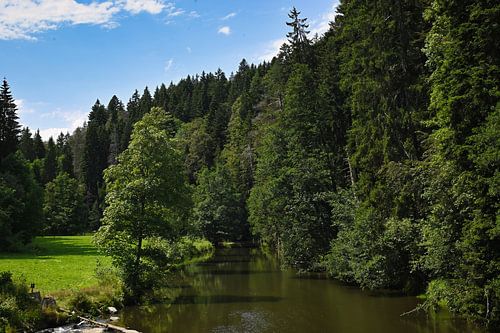Wutachschlucht im Schwarzwald