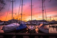 Boats at the harbor in Muiden
