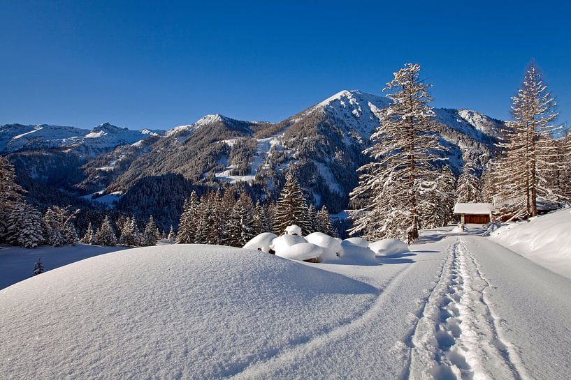 Tracks in the snow in Flachauwinkl by Christa Kramer