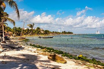 Plage de palmiers et mer sur la Costa Maya au Mexique Caraïbes sur Dieter Walther