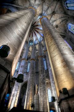Katedra Santa Maria del Mar - Barcelona van Rob Severijnen