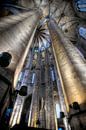 Katedra Santa Maria del Mar - Barcelona van Rob Severijnen thumbnail