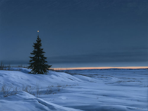 Beneath the Quietest Winter Star