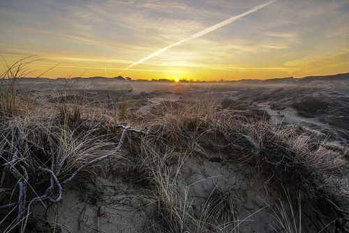 Sonnenaufgang in den Dünen