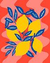 Colorful lemons by Angela Minca thumbnail