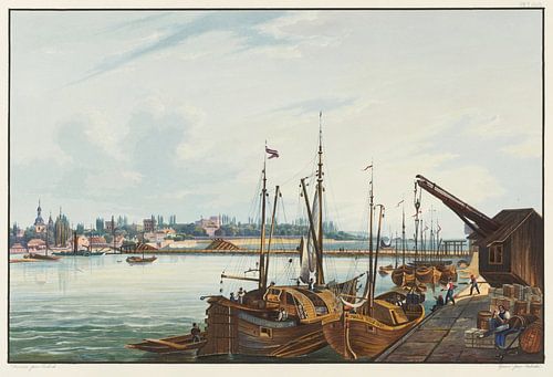 Uitzicht op de stad Manheim en omgeving, Johann Ludwig Bleuler
