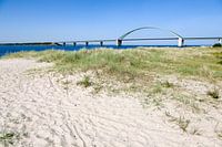 Fehmarn-Sund Bridge