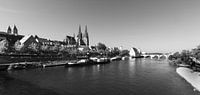 Regensburg Donau en Oude Stad Panorama (zwart-wit) van Frank Herrmann thumbnail