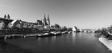 Regensburg Donau en Oude Stad Panorama (zwart-wit) van Frank Herrmann