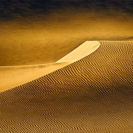 Golden desert by Peter Poppe