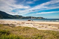 Anaura Bay