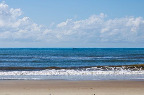 Rand van de beweging