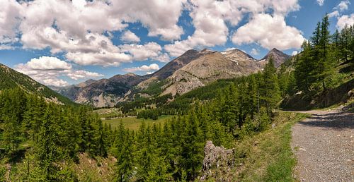 Provence mountain landscape 