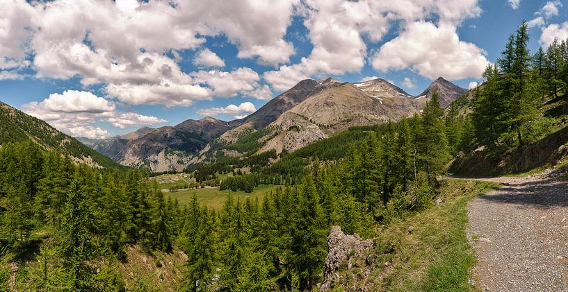 Provence mountain landscape  by Rene du Chatenier