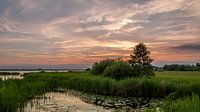 Sonnenuntergang mit dunklen Wolken von Roy Kosmeijer Miniaturansicht