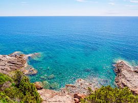 Livorno Baaien