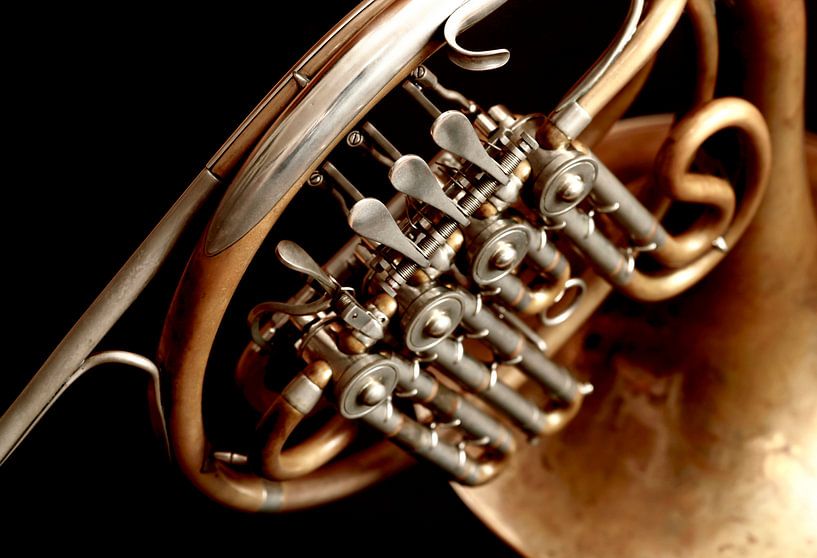 French Horn by Thomas Jäger
