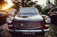Peugeot 404 van Gijs Wilbers thumbnail