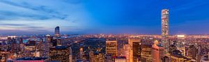 Central Park en Upper Side Manhattan van Top of the Rock