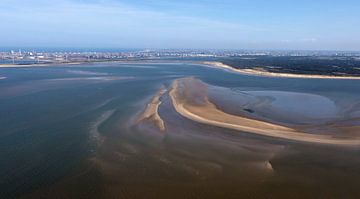 Voordelta van Jacques van der Neut