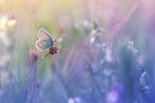 I keep an eye on everything...