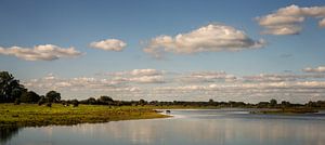 River IJssel floodplains