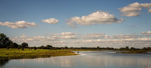 Uiterwaarden van de IJssel