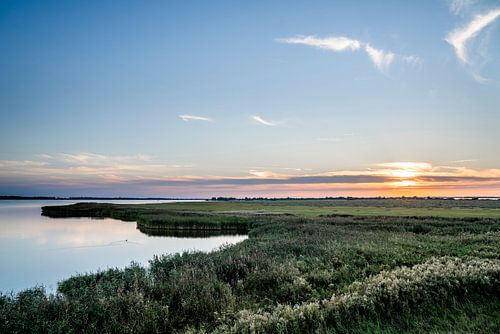 Zonsondergang boven Waterriet Rustgevend Landschap