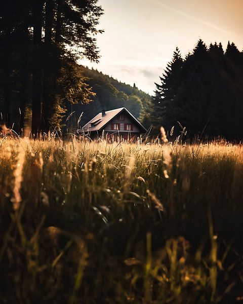 Outdoorabenteuer im Herbst von fernlichtsicht