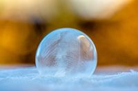 Frozen bubble VI